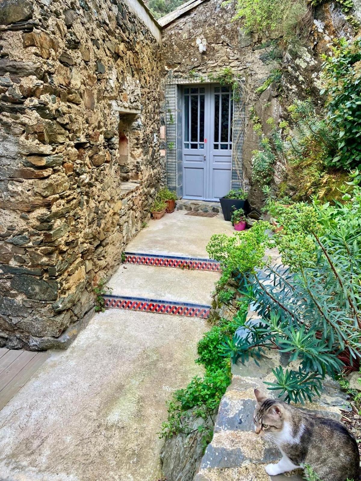 4 Star Cabaret Lastours 4 Chateaux Amazing Cathar Landmark Private Luxury 4 Star Air Conditioned Terrasse With Views 外观 照片